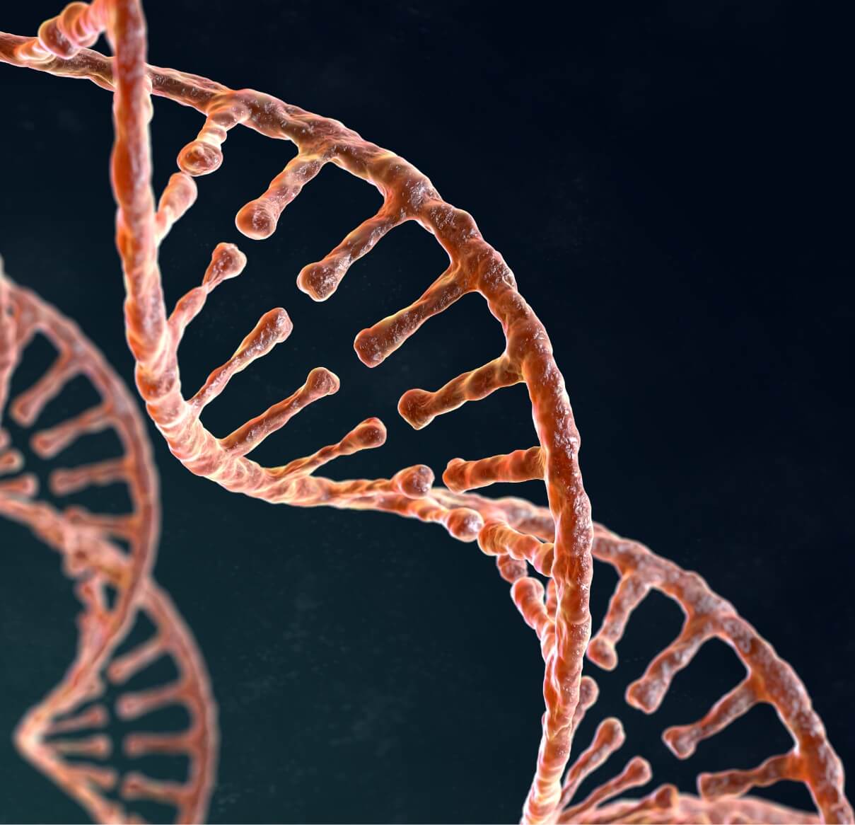 spiral-strand-of-dna-on-the-dark-background-2024-12-04-18-31-02-utc (2)